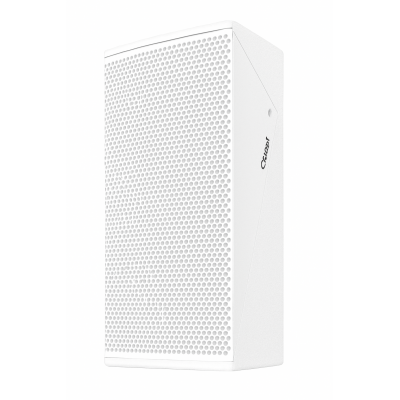 QUEST DUAL 5" COMPACT PASSIVE SPEAKER- WHITE