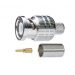 CANARE BP-C3 50 OHM BNC CRIMP PLUG FOR 3D-2V / L-3D2V